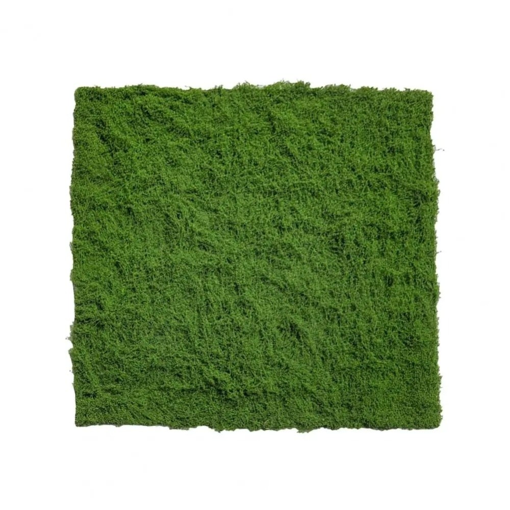 พรมหญ้าเทียม DIY ทนทาน ไม่ต้อง - Terrarium Moss Art บทวิจารณ์และราคา