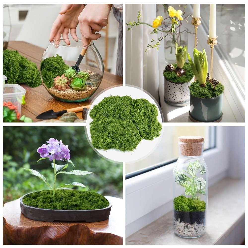 มอสเทียมโพลีเอสเตอร์สำหรับงาน  - Terrarium Moss Art บทวิจารณ์และราคา
